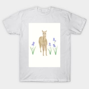 Llama and Irises T-Shirt